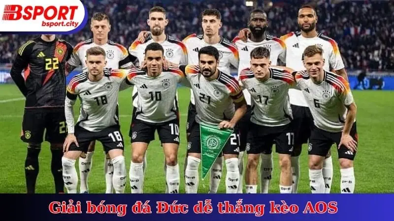 Giải bóng đá Đức dễ thắng kèo AOS
